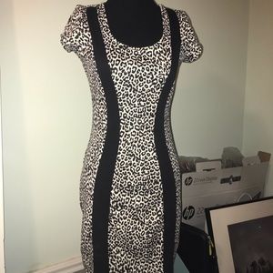 It’s getting cold, bring out the snow leopard 😂